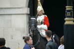 PICTURES/London - The Household Cavalry Museum/t_P1280388.JPG
